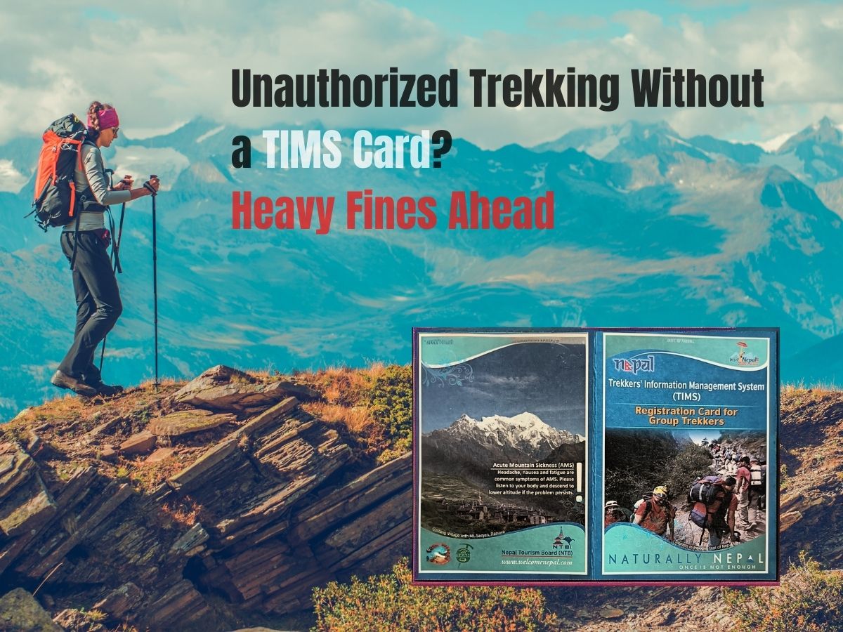Trekking in Nepal Without a TIMS Card? Heavy Fines Ahead